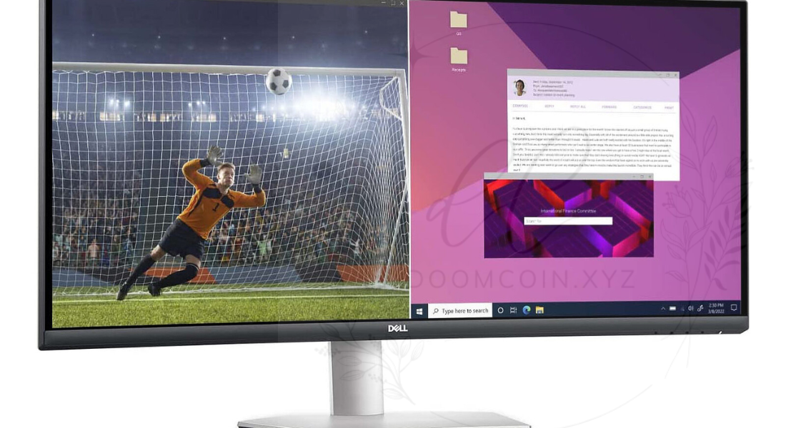 Dell Flicker-Free Monitor