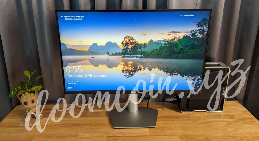 Dell IPS Monitor